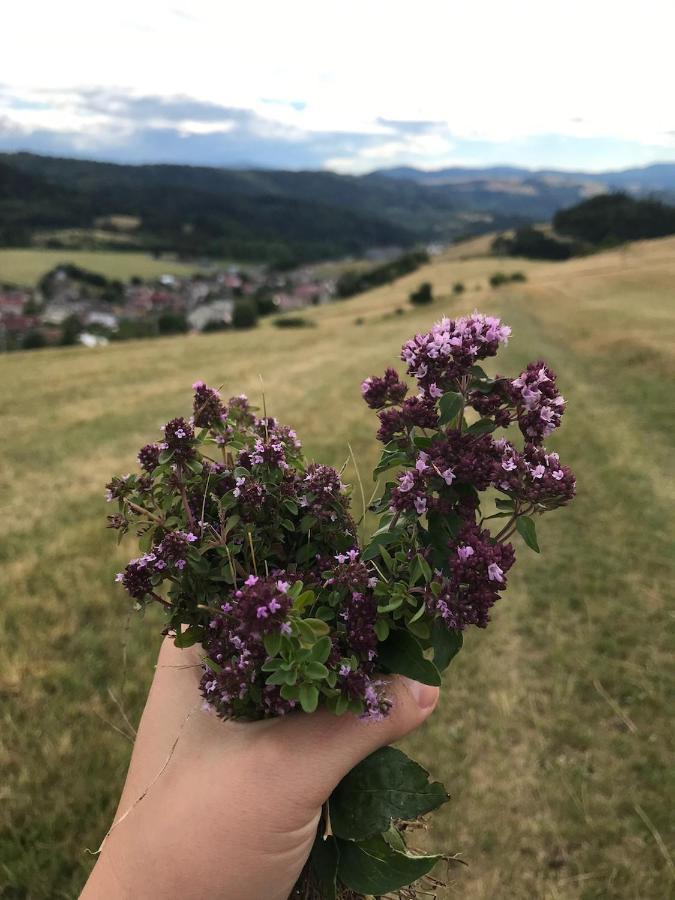 Chalupa Helena Na Poraci Exteriör bild